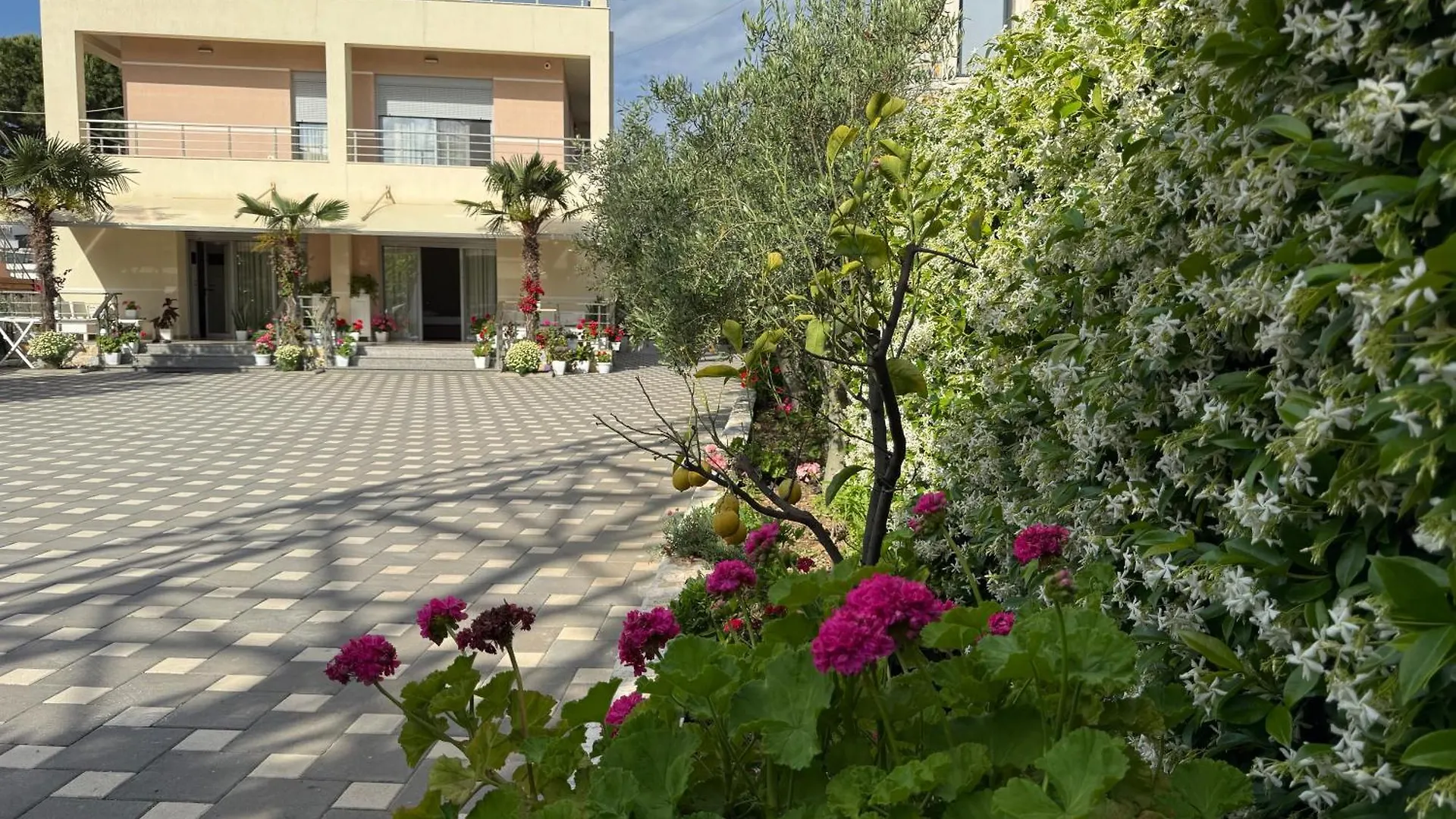 My Comfort Villa Vlorë Affittacamere